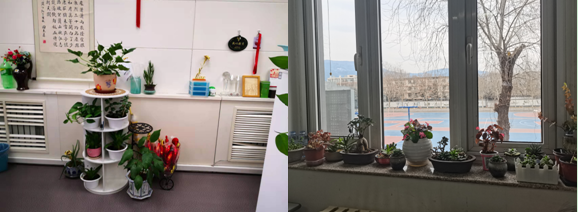 捕获1.PNG