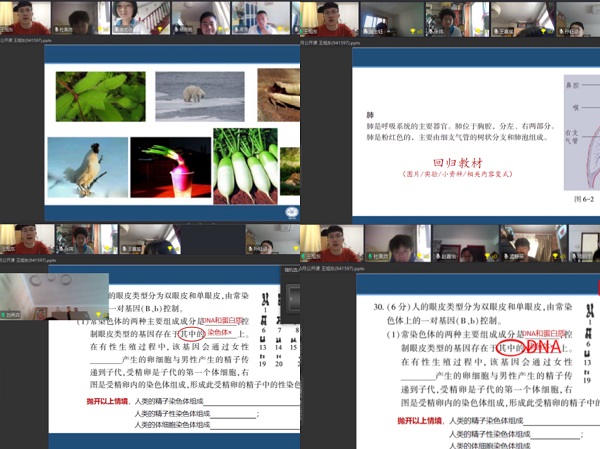 图片1.JPG