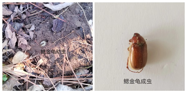 微信图片_20240417154031.jpg