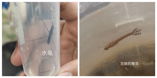 微信图片_20240417153813.jpg