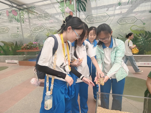 图11.jpg