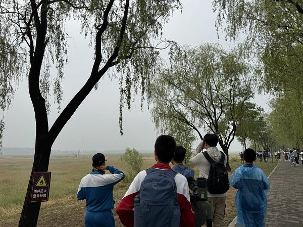图片一.jpg